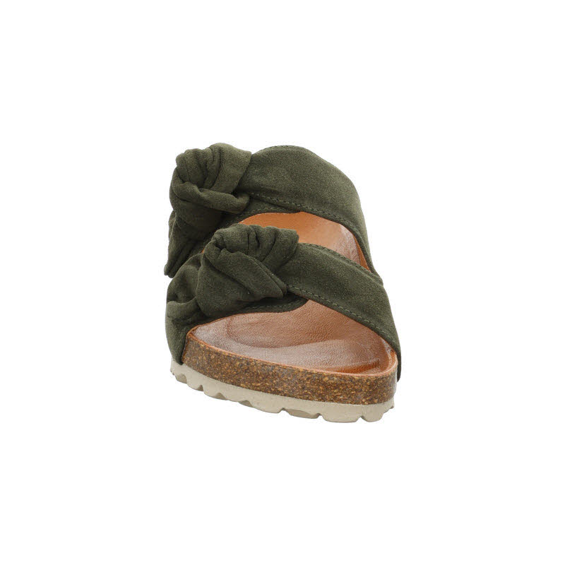 Verbenas "RAIN VELOUR"