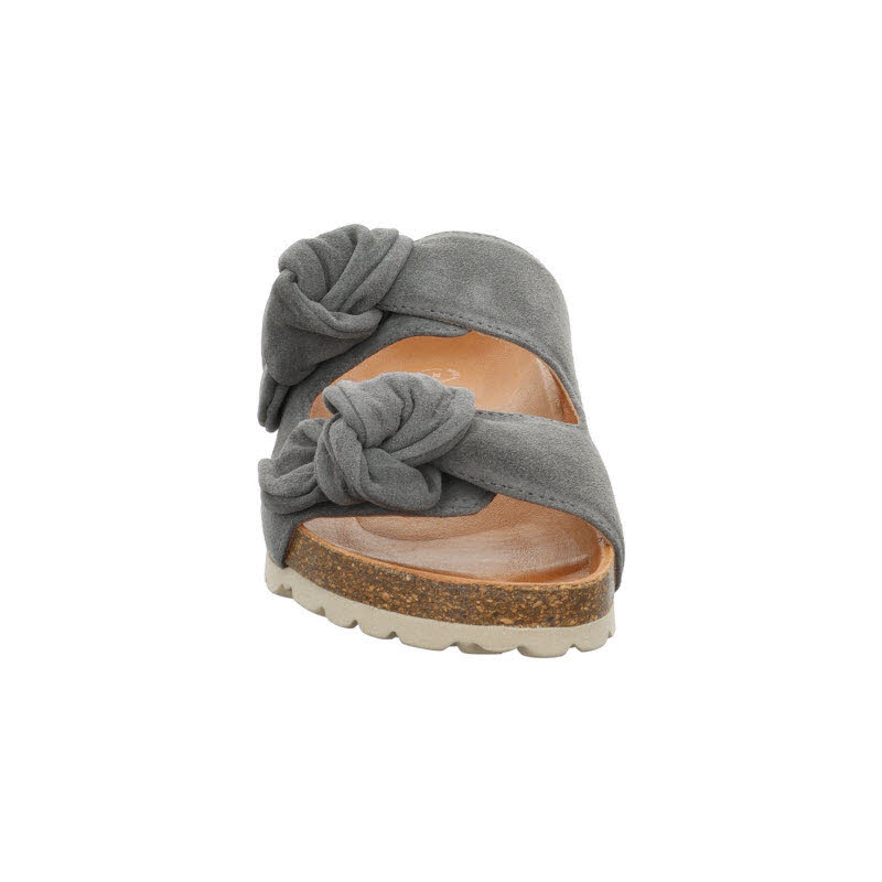 Verbenas "RAIN VELOUR"