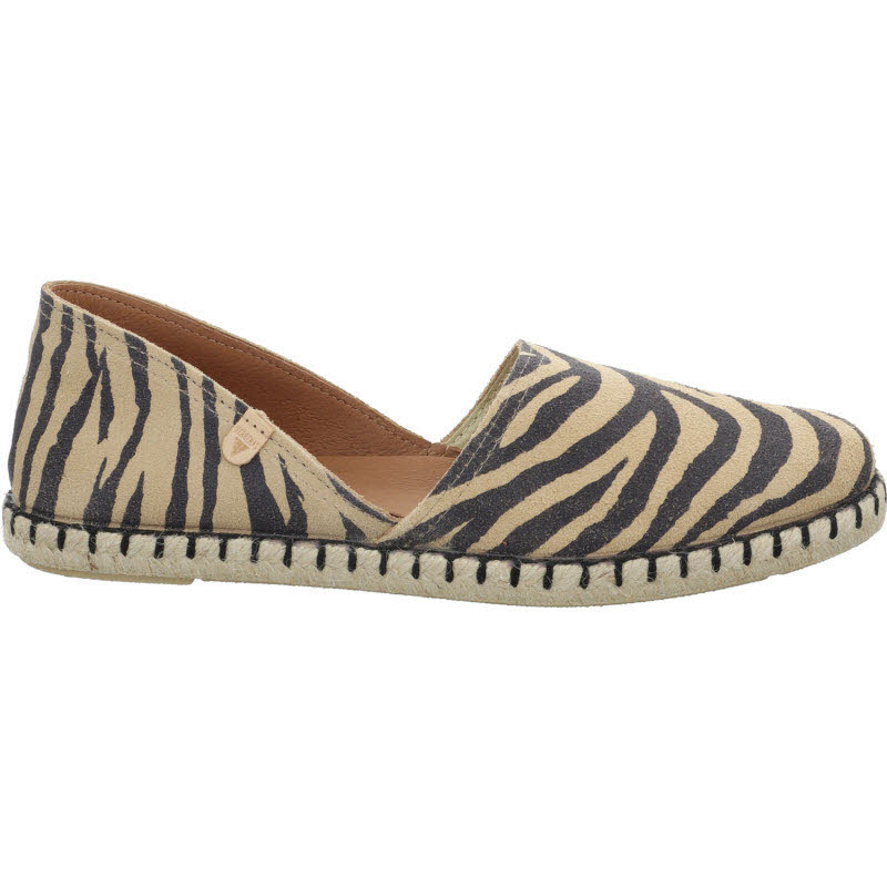 Verbenas "CARMEN ZEBRA"