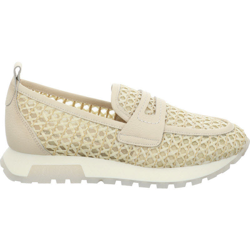 Hispanitas "OREGON-V26"