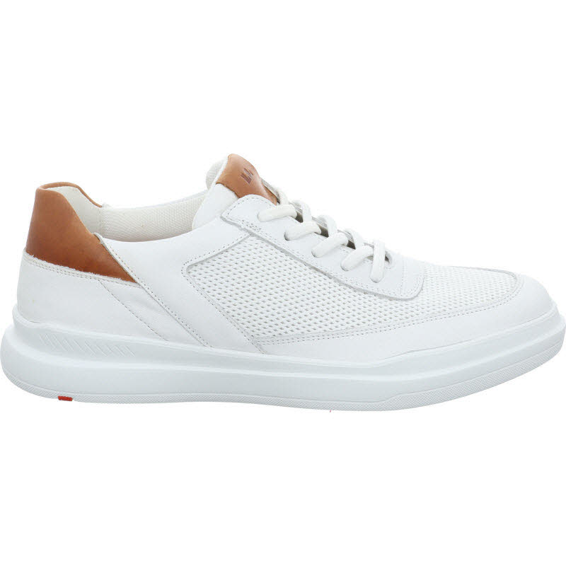 LLoyd Sneaker "ARKAN"