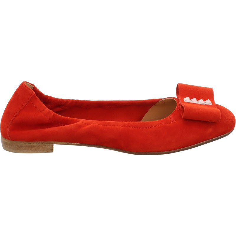 Donna Carolina Ballerina "HOOF BASIC CAIRO" Bild 1 Donna Carolina Ballerina "HOOF BASIC CAIRO"