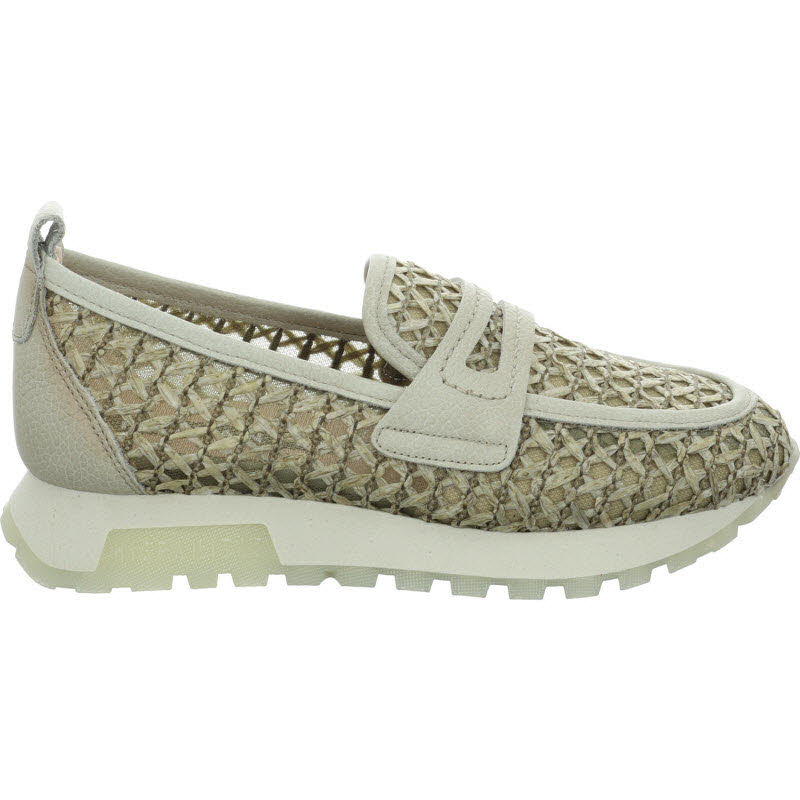 Hispanitas "OREGON-V26"