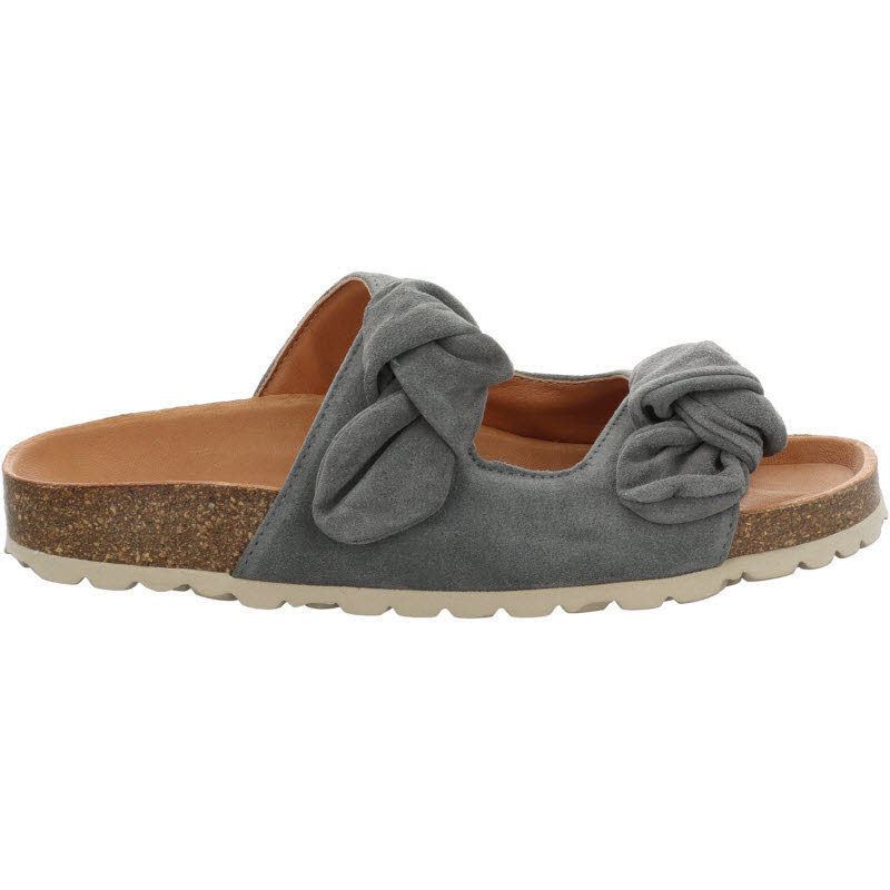 Verbenas "RAIN VELOUR"